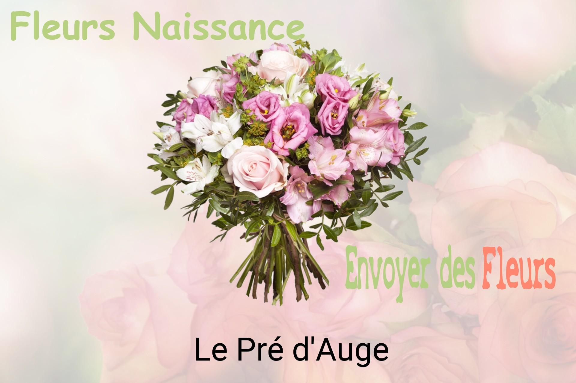 Bouquet de fleurs de naissance livré à Le Pré-d'Auge